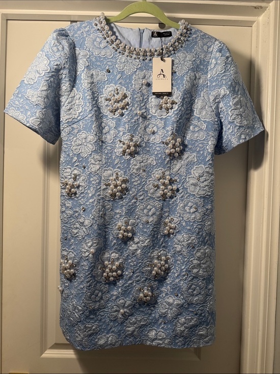 Anewsta Dresses & Skirts - Women’s size 10 Pearl-Embellished Light Blue Lace Mini Dress look at description